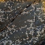 alterinhos_MC7n_20250330 105542.JPG