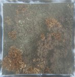 0524 CH E4 T2 (16).JPG