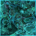 20230907_KS_30 (22).JPG