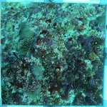 20230830_RH_15 (1).JPG