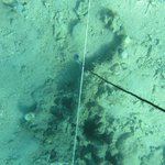 20201124_GRT_T1 (14).JPG