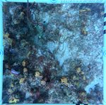 Florida Key_15_24_inner.jpeg