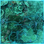 20230907_KS_25 (23).JPG