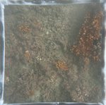 0524 CH E4 T2 (11).JPG