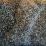 gliqu1_MC8 20250618 124512_20250618 124532_transformed_20250820_120429.JPG