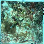 Florida Key_10_24_middle.jpg