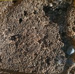 angeiras_MC6 20241022 122905_20241022 123036.JPG