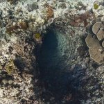 one tree island 7.jpg