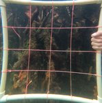 GPTempDownload (8).jpg