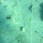 20201124_GRT_T1 (22).JPG