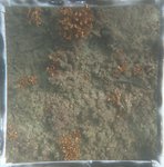 0524 CH E4 T2 (4).JPG