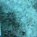 BL_20230826_10 (33).png