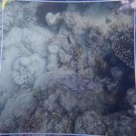 20210407_Sax_Transect 1 (2).JPG