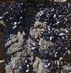 alterinhos_MC8y_20250330 103708.JPG