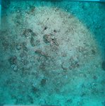 BL_20230701_25_1 (2).JPG