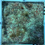 Florida Key_1_24_middle.jpg