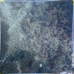 20210407_Sax_Transect 1 (19).JPG