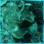 20230907_KS_30 (8).JPG