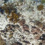 one tree island 12.jpg