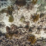 one tree island 11.jpg