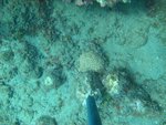 BF1_20151013_MSA068_07.JPG