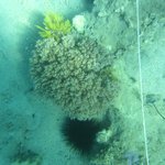 20201124_GRT_T1 (27).JPG