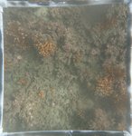 0524 CH E4 T2 (10).JPG