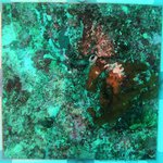 20230830_RH_25 (22).JPG