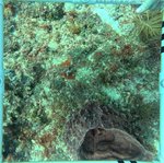 Florida Key_13_24_middle.jpeg