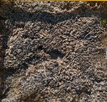 angeiras_MC4 20241022 121916_20241022 121945.JPG