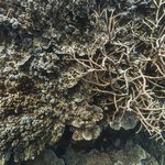 032031 - temples9.jpg