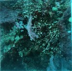 BL_20230701_10 (9).JPG