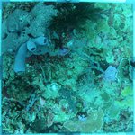 20230907_KS_30 (1).JPG