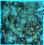 Florida Key_14_24_inner.jpeg