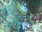 BF1_20151013_MSA074_09.JPG
