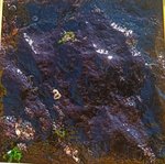 angeiras_MC8 20241022 123711_20241022 123736.JPG