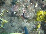 BF1_20151013_MSA068_27.JPG