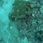 BL_20230826_15 (2).png