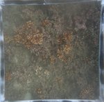 0524 CH E4 T4 (13).JPG