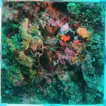 20230830_RH_25 (29).JPG