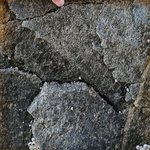 gliqu1_MC6 20250618 123705_20250618 123733_transformed_20250820_120341.JPG