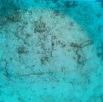 BL_20230701_25_1 (29).JPG