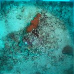 BL_20230701_25_1 (9).JPG