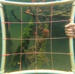 GPTempDownload (7).jpg