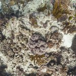 one tree island 10.jpg