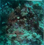 BL_20230701_20 (4).JPG