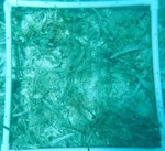 ZRP WHITE WATERS Q11.jpg