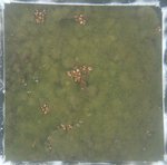 0524 CH E3 T4 (9).JPG