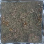 0524 CH E4 T4 (15).JPG