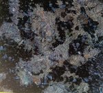 angeiras_MC1 20241022 124417_20241022 124422.JPG